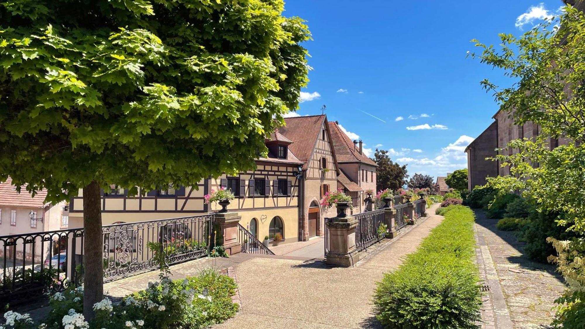 Appartements Duplex 3 Et 4 Personnes - Climatisation - Village Elu Parmi Les "Plus Beaux Villages De France" - Route Des Vins - Centre Alsace 베아카임 외부 사진