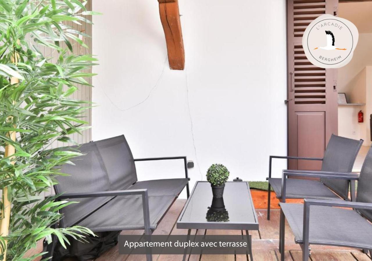 Appartements Duplex 3 Et 4 Personnes - Climatisation - Village Elu Parmi Les "Plus Beaux Villages De France" - Route Des Vins - Centre Alsace 베아카임 외부 사진