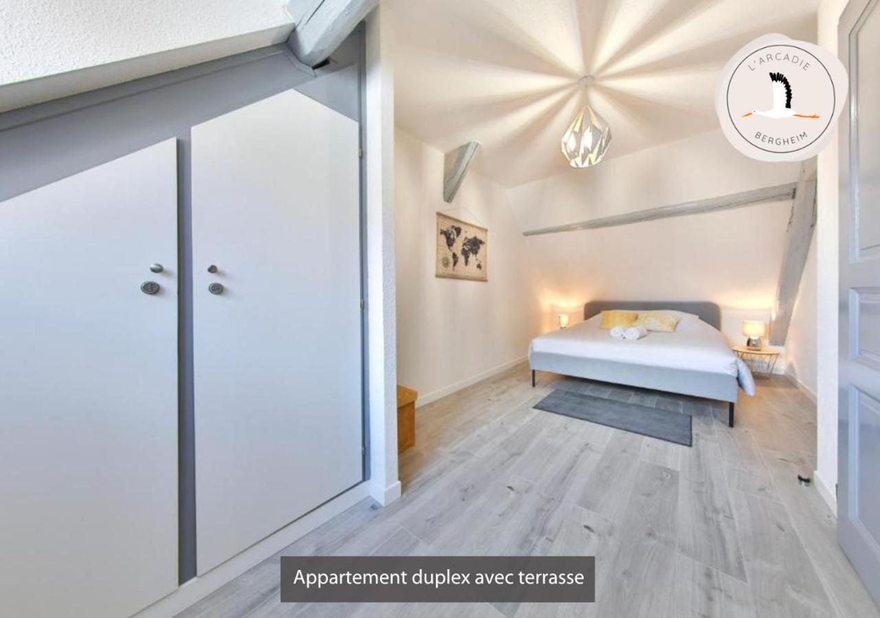 Appartements Duplex 3 Et 4 Personnes - Climatisation - Village Elu Parmi Les "Plus Beaux Villages De France" - Route Des Vins - Centre Alsace 베아카임 외부 사진
