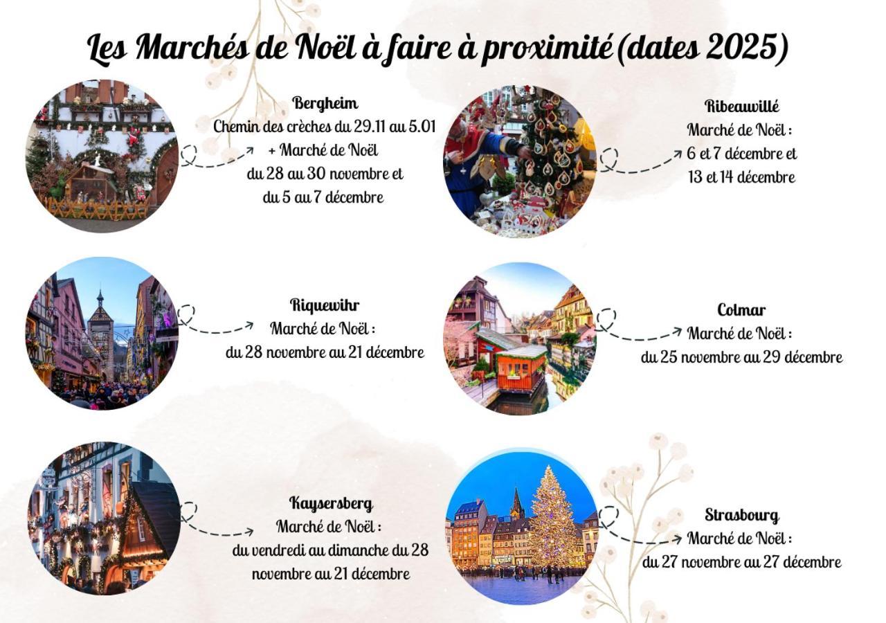 Appartements Duplex 3 Et 4 Personnes - Climatisation - Village Elu Parmi Les "Plus Beaux Villages De France" - Route Des Vins - Centre Alsace 베아카임 외부 사진